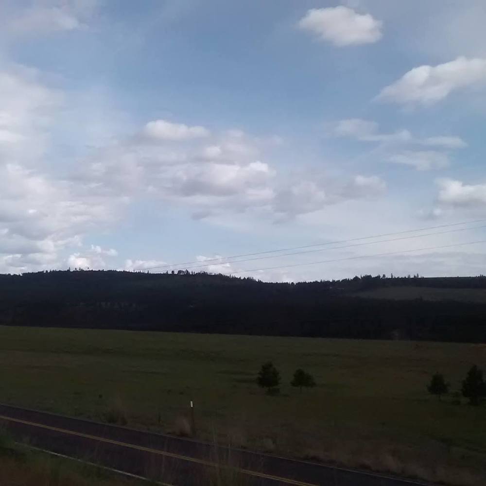 Meet your Posher, Colleen